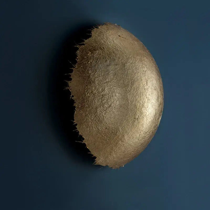 Applique Murale Dorée Design Organique Et Lumineux