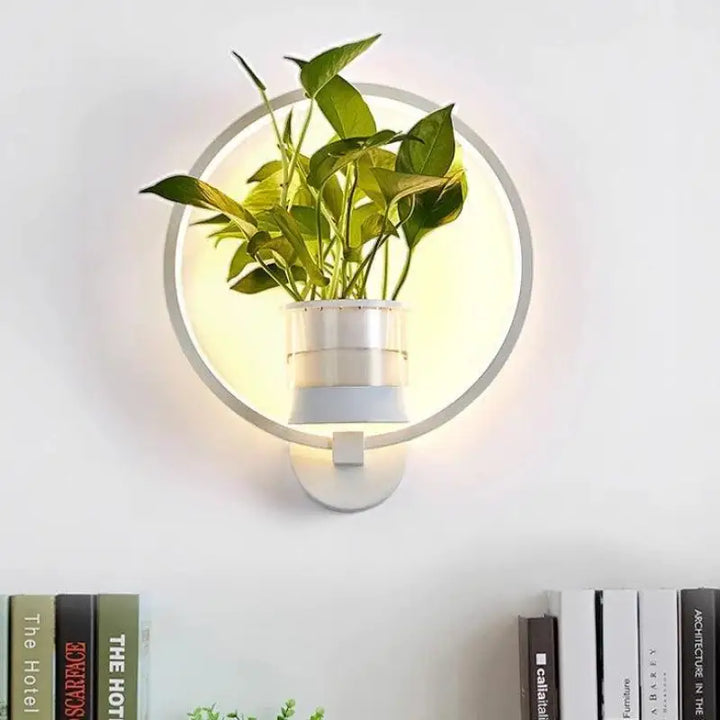 Appliques Murales Naturelles Design Cercle