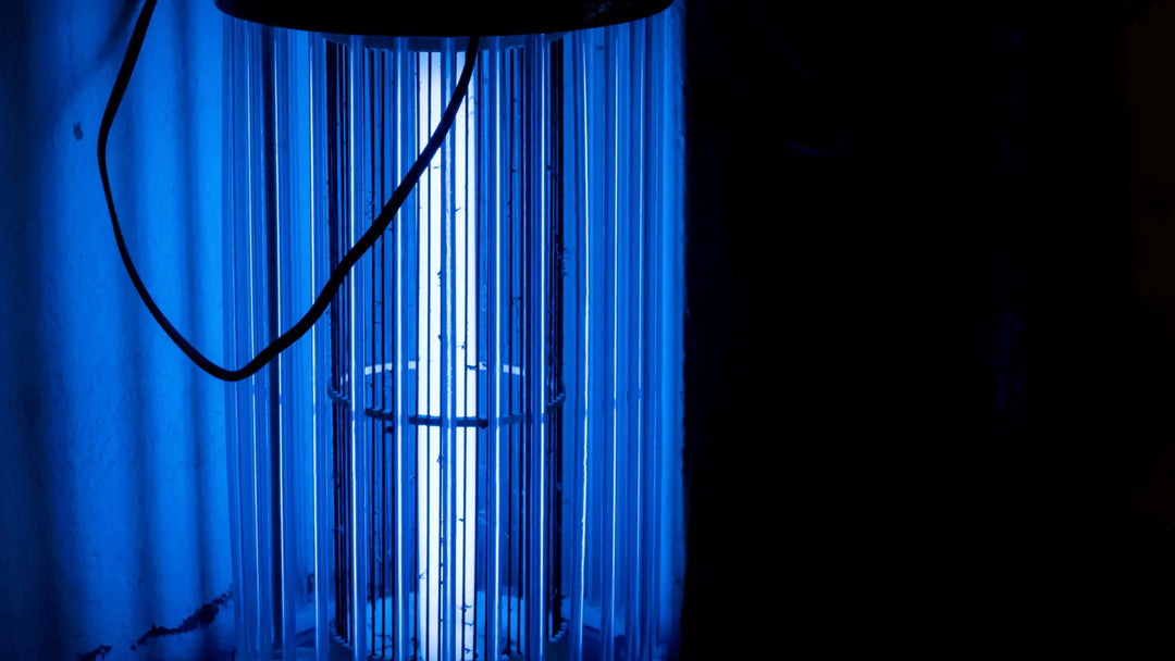 Est-ce que la lumière attire les moustiques