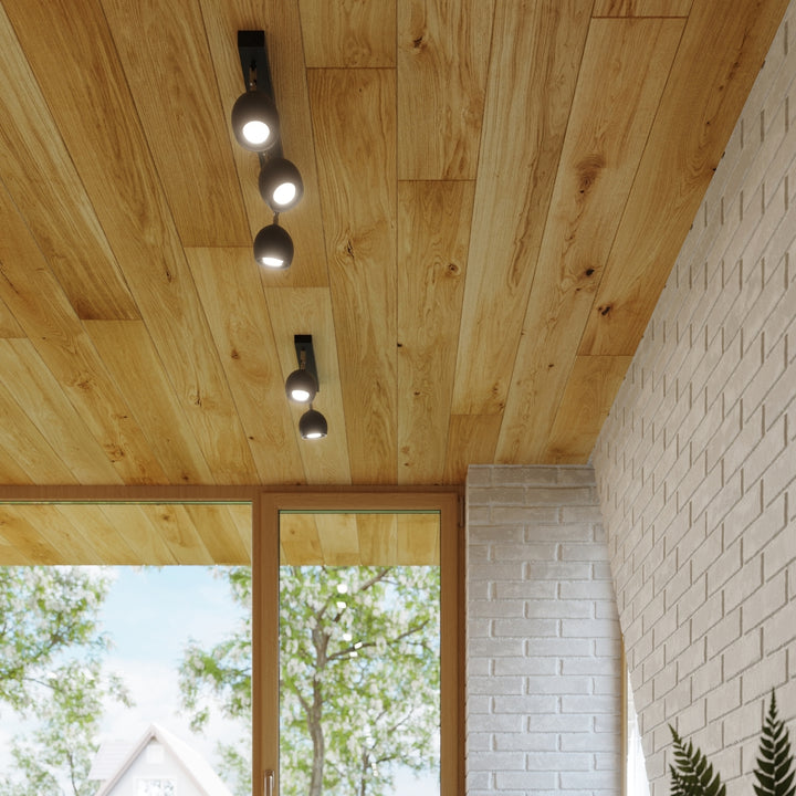 OCULARE 3 black ceiling light