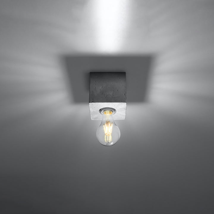 ARIZ concrete ceiling light