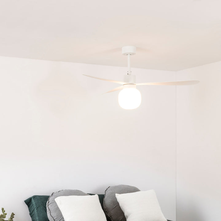 Ventilateur de plafond Amelia en situation