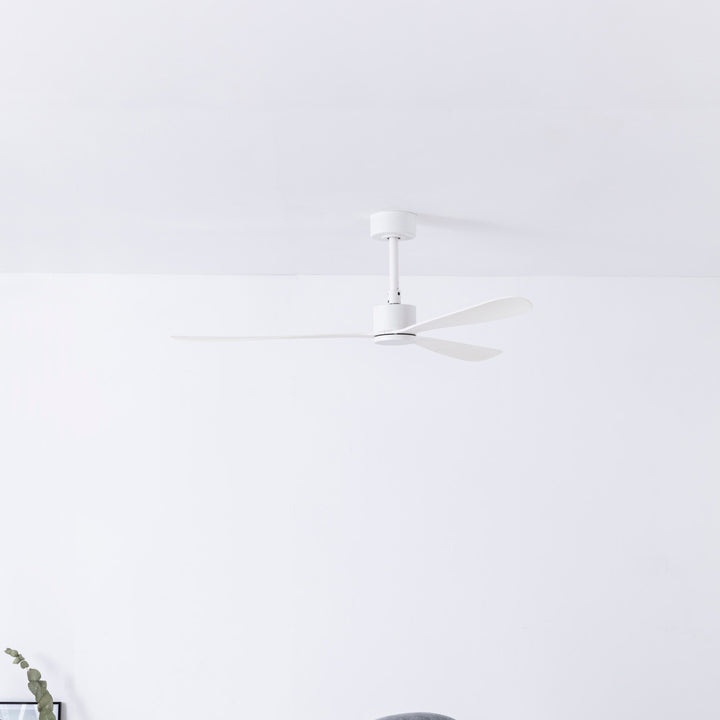Ventilateur de plafond Amelia en situation
