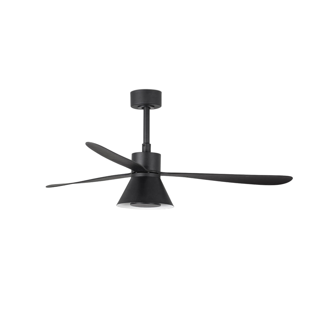 Ventilateur de plafond Amelia noir avec lumière cône de Faro Barcelona