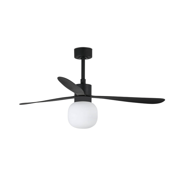 Ventilateur de plafond Amelia noir avec lumière boule de Faro Barcelona