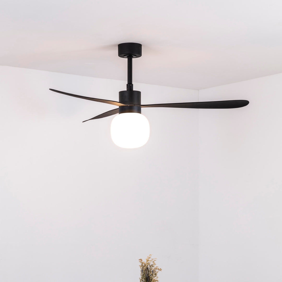 Ventilateur de plafond Amelia en situation