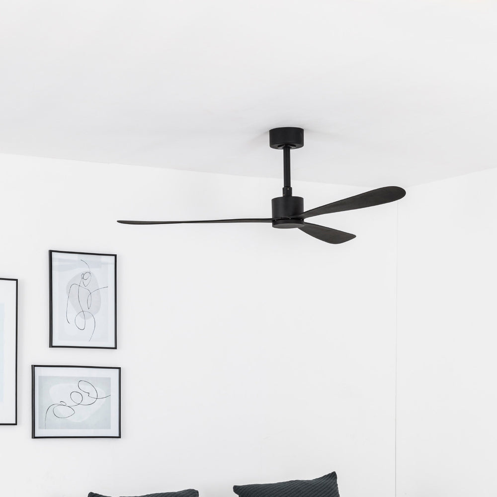 Ventilateur de plafond Amelia en situation