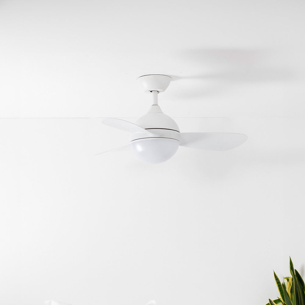 Ventilateur de plafond Hvar dans un intérieur