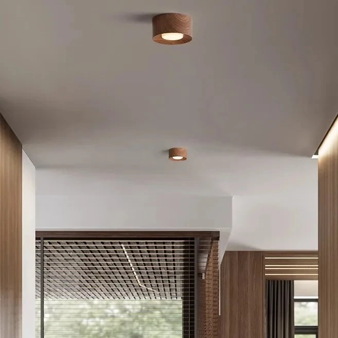 Middle ancient resin tube lamp double headed Japanese style corridor ceiling light living room without main lamp balcony lamp