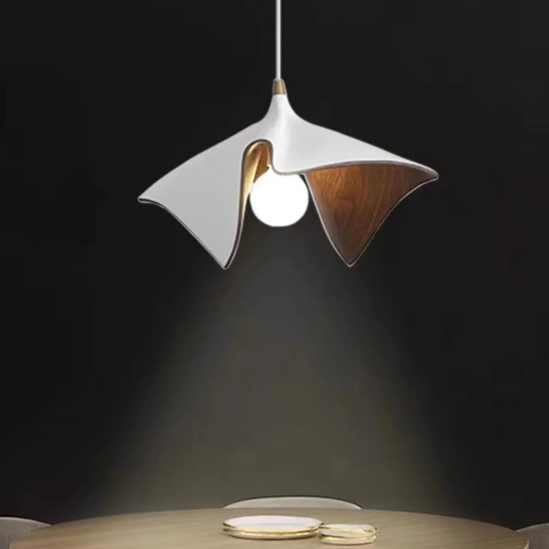 Suspension Luminaire | ROHASI