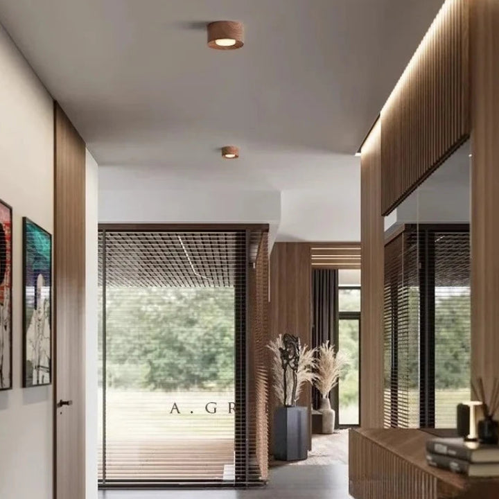 Middle ancient resin tube lamp double headed Japanese style corridor ceiling light living room without main lamp balcony lamp