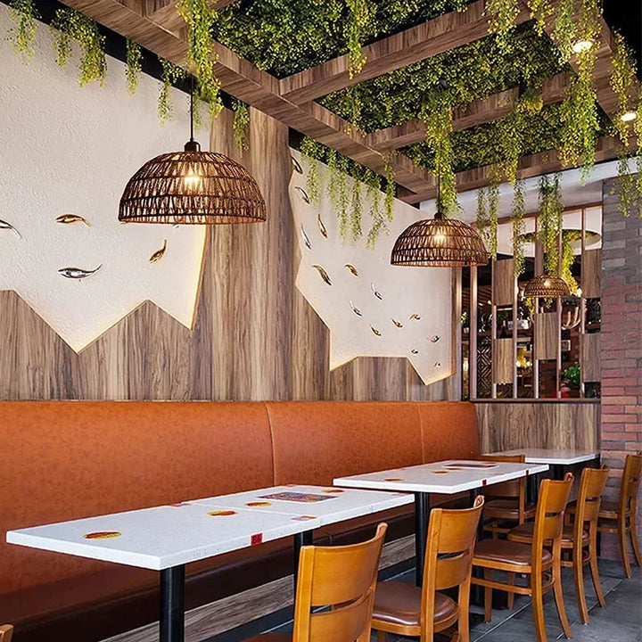 Suspension Luminaire | CAOSHI