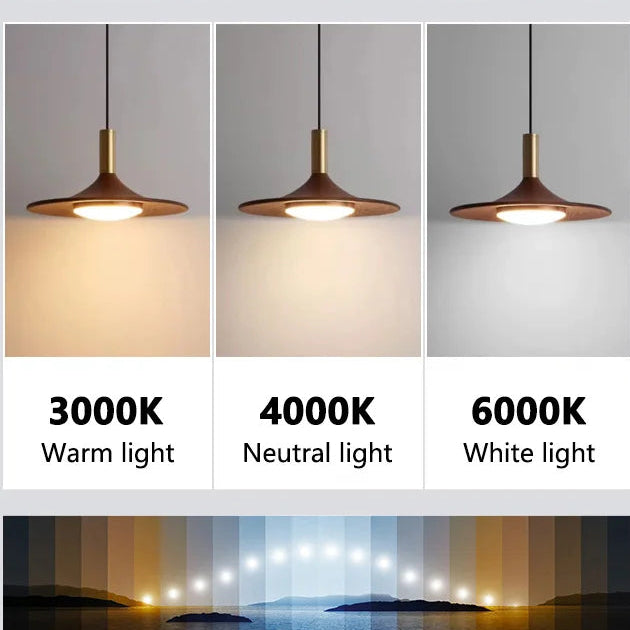 Suspension Luminaire | LENOV