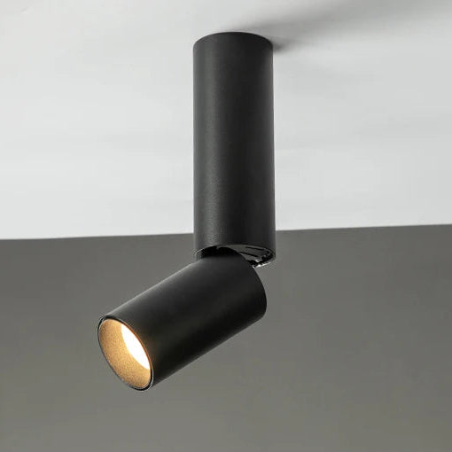 Luminaire Plafonnier | DARITUS