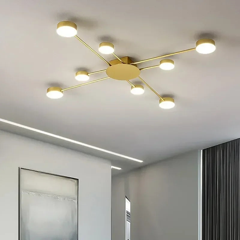 Ceiling Light | KINTARA