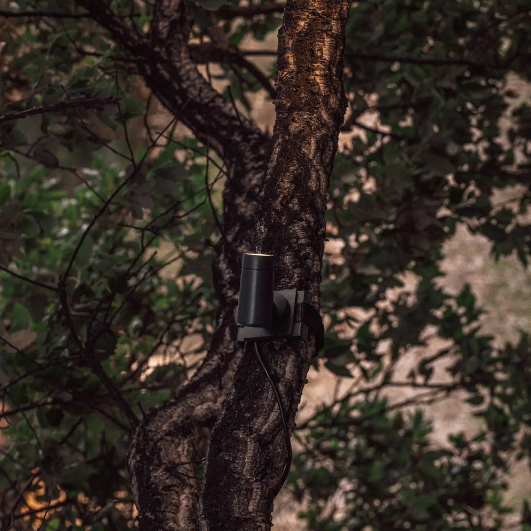 Fixation sur arbre Puk de Faro Barcelona en situation