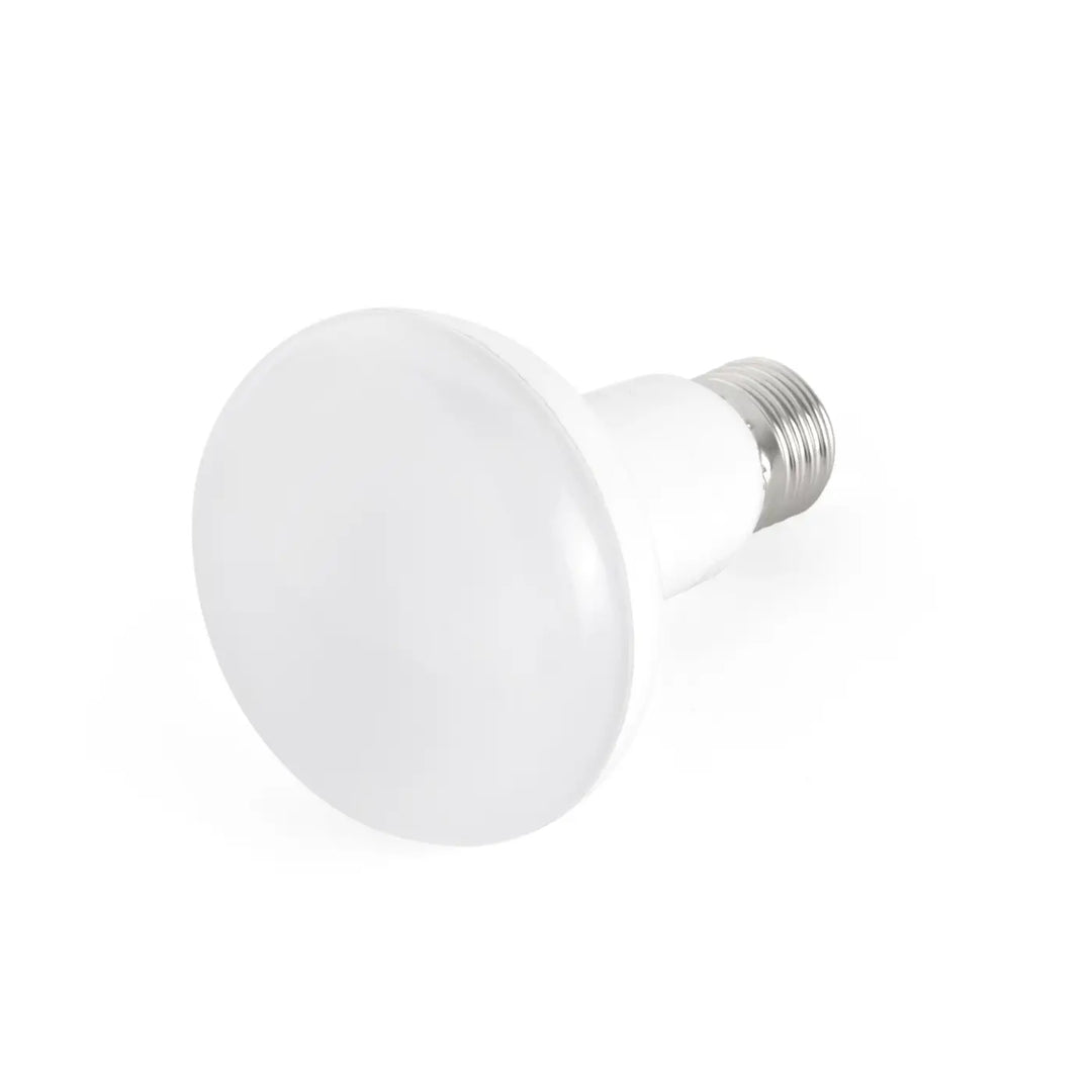 Ampoule LED E27 réflecteur R80 de Faro Barcelona
