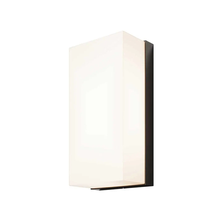 Applique extérieure badd en aluminium graphite avec diffuseur en verre dépoli et cadre métallique sombre moderne