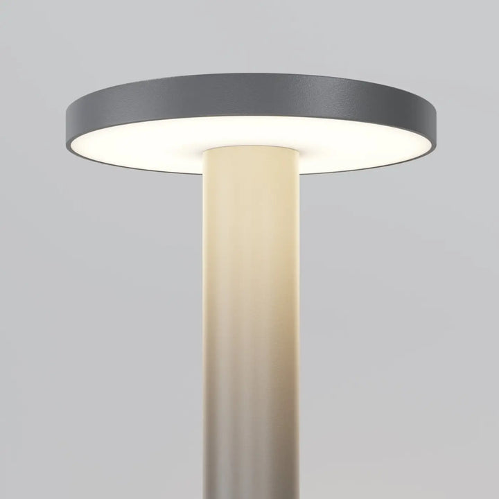 Borne extérieure led champignon avec abat-jour circulaire gris anthracite en acier gris anthracite indice ip65