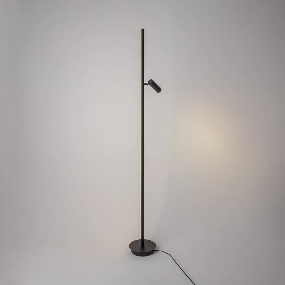 Lampadaire thin noir en métal avec un poteau mince et un spot led ajustable idéal d’un canapé