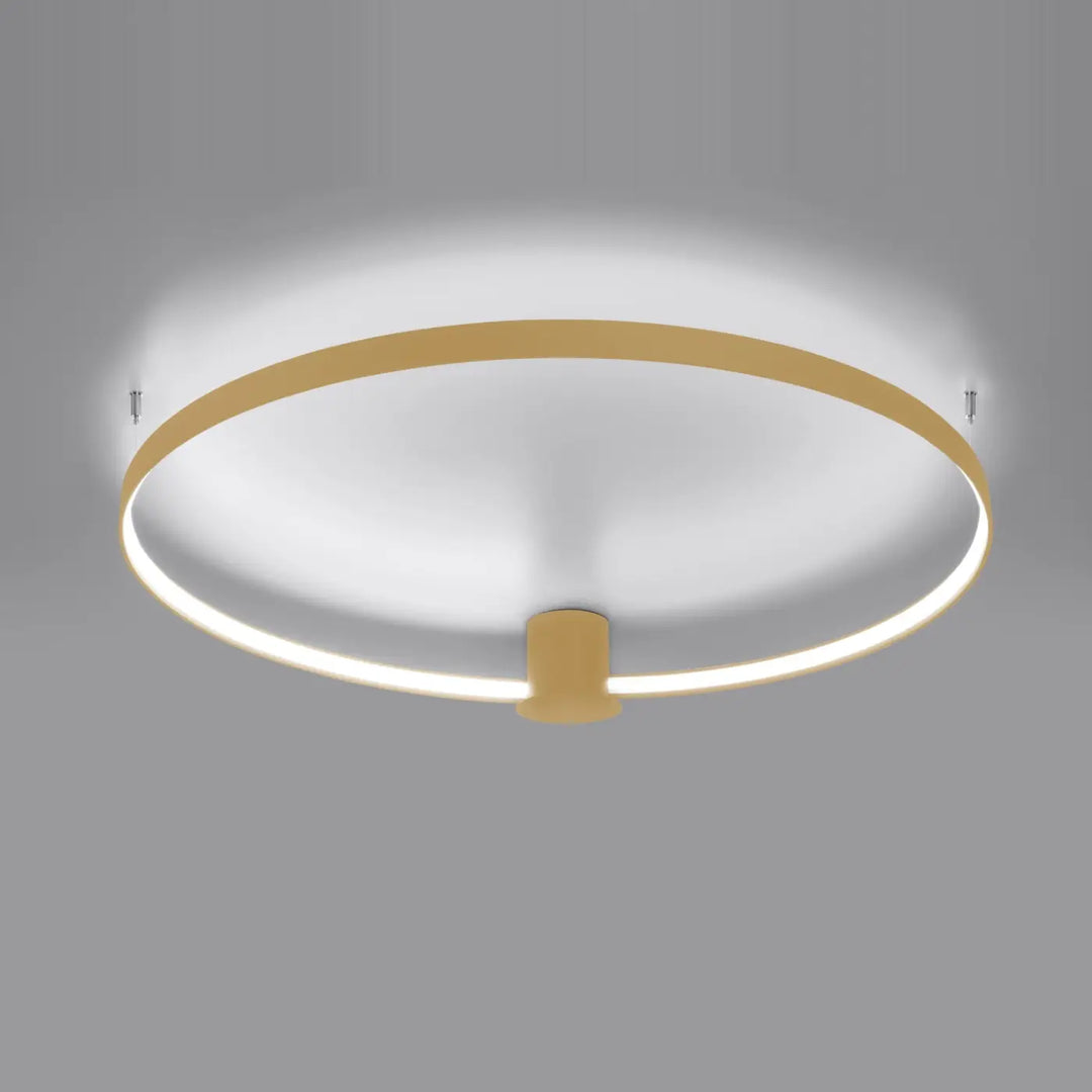 Plafonnier rio 55 doré avec modules led offrant une efficacité lumineuse élevée et un éclairage blanc chaud 4000k