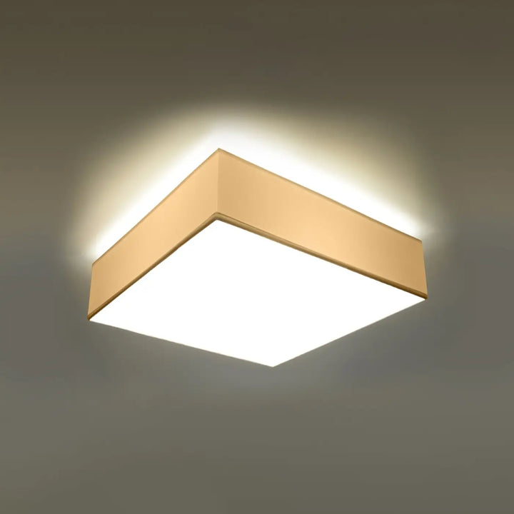 Luminaire plafonnier blanc allumé, vue rapprochée
