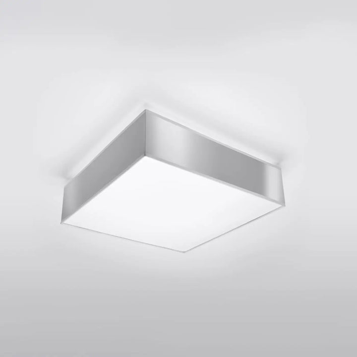 Luminaire plafonnier gris éteint, vue rapprochée