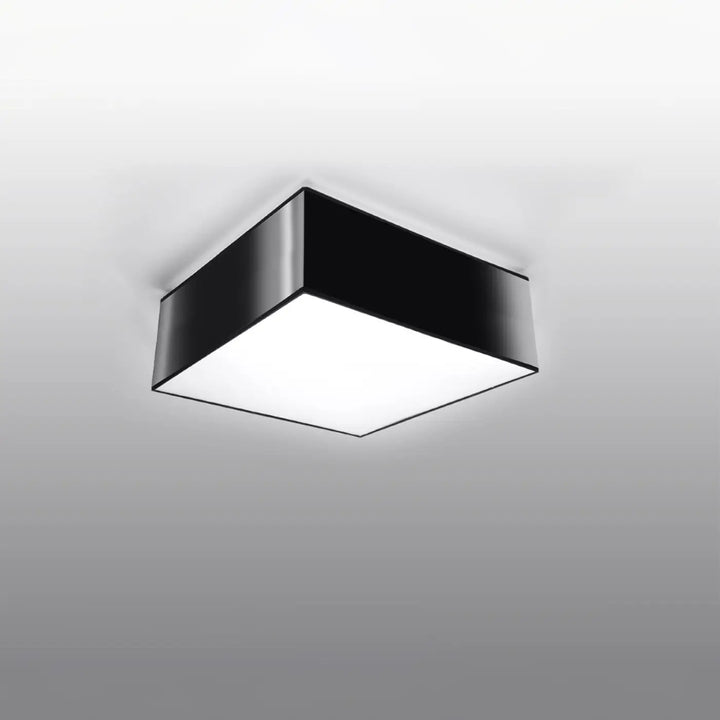 Luminaire plafonnier noir éteint, vue rapprochée