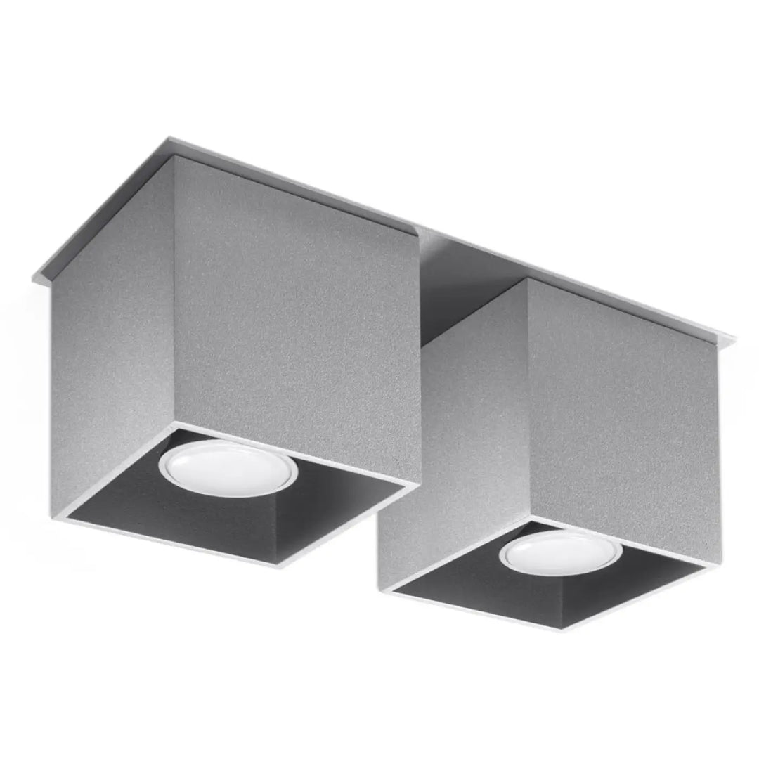 Plafonnier quad gris moderne en finition argent avec deux led circulaires intégrées montées individuellement pour magnifique décoration