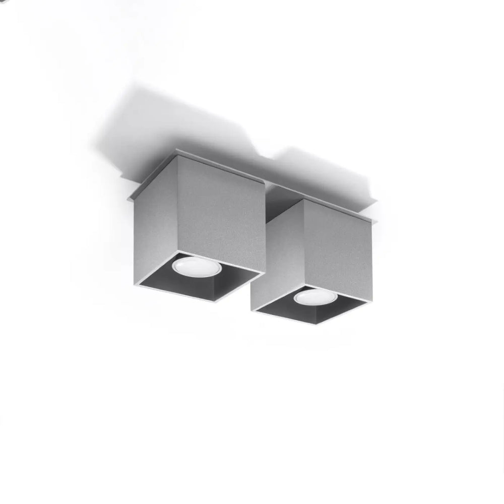 Plafonnier quad gris moderne avec deux ampoules led circulaires montées individuellement pour magnifique décoration