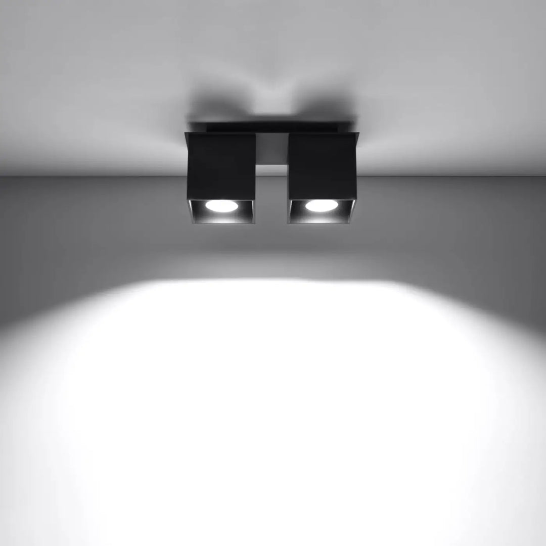 Luminaire plafonnier quad 2 noir en bois naturel avec deux ampoules montées individuellement et encastrées