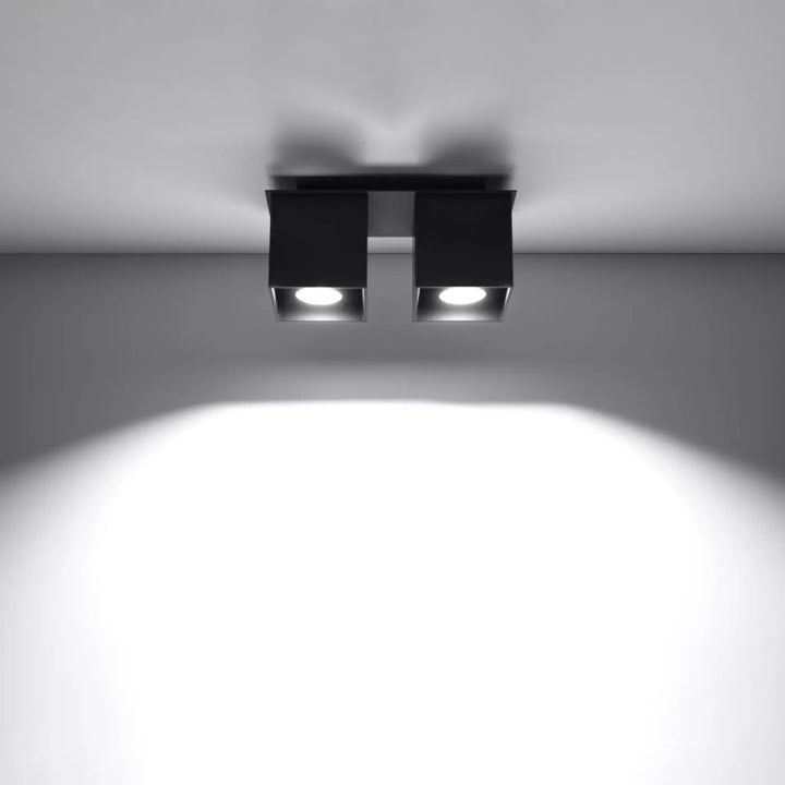 Luminaire plafonnier quad 2 noir en bois naturel avec deux ampoules montées individuellement et encastrées