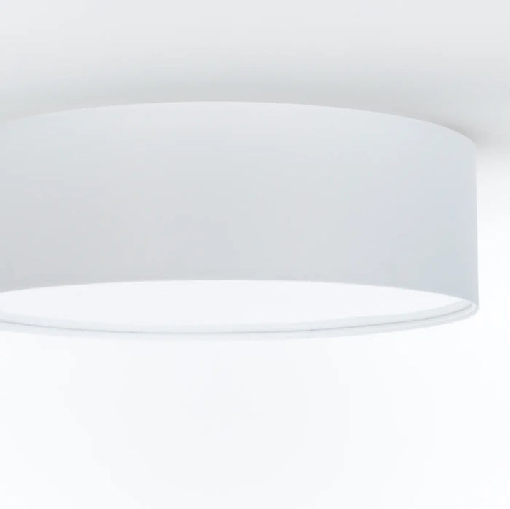 Luminaire plafonnier gris perle avec finition mate et forme cylindrique blanche pour éclairage intérieur