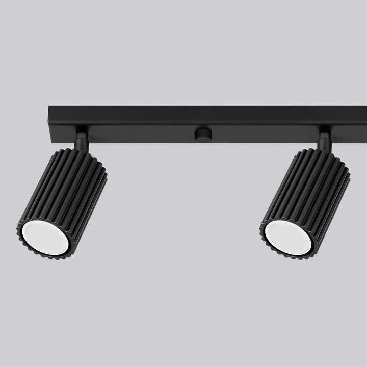 Plafonnier karbon allie design minimaliste noir avec deux projecteurs réglables ampoules gu10 interchangeables