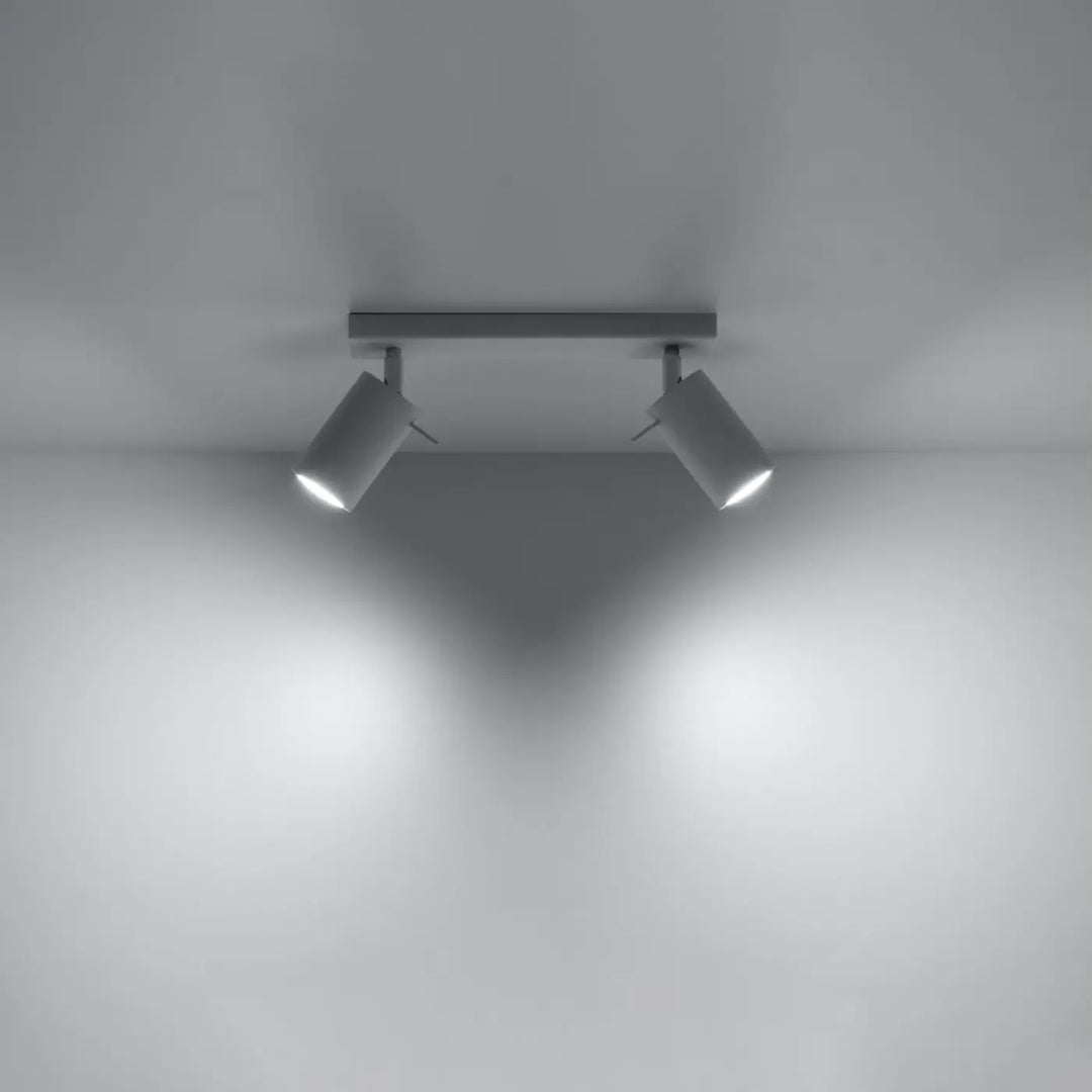 Luminaire plafonnier ring 2 blanc avec deux spots réglables en gris mat que vous pouvez facilement installer