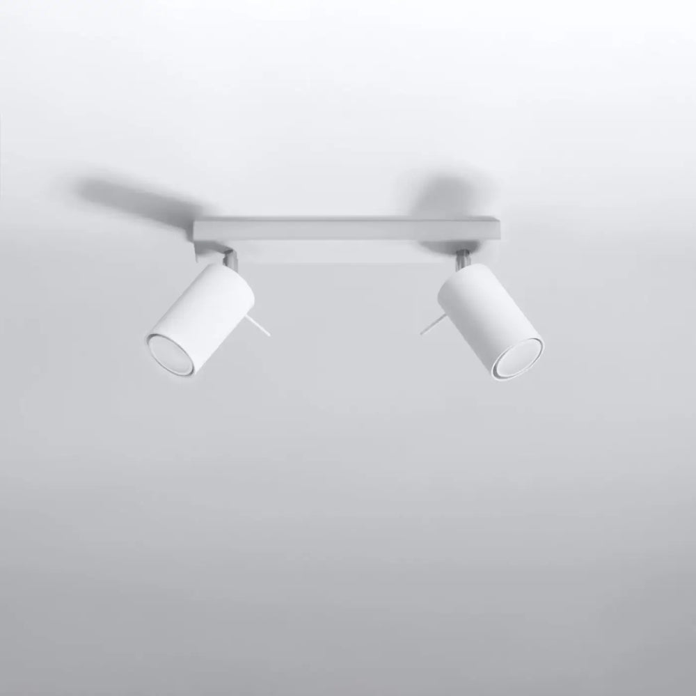 Luminaire plafonnier ring 2 blanc à double spot avec design minimaliste que vous pouvez facilement installer