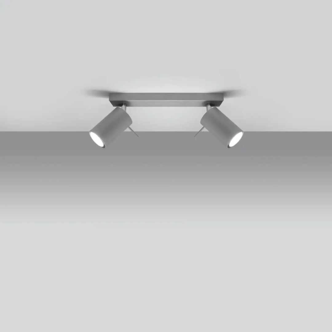 Luminaire plafonnier ring 2 gris avec double spot orientable moderne que vous pouvez facilement installer