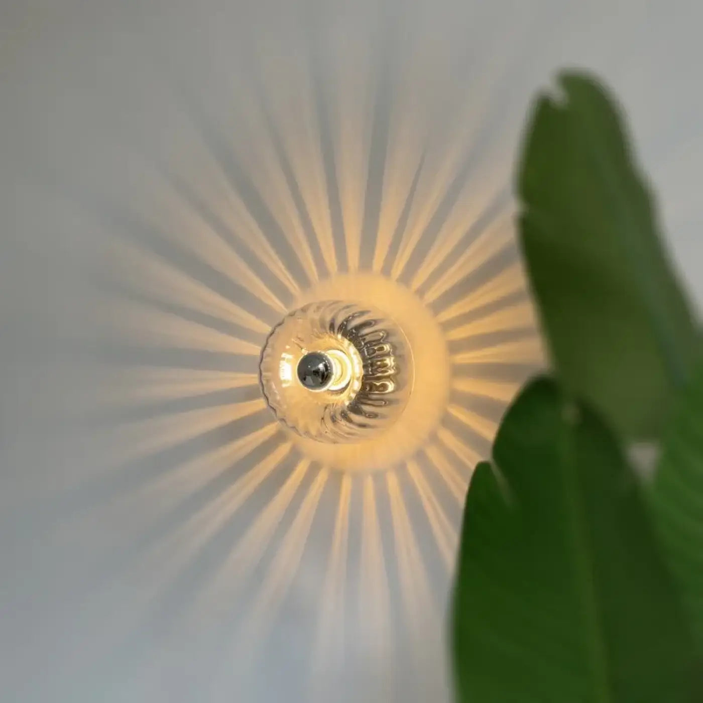 Small Sunbeam Wall Appliqué in Gilded Glass, Elegant – Lustria