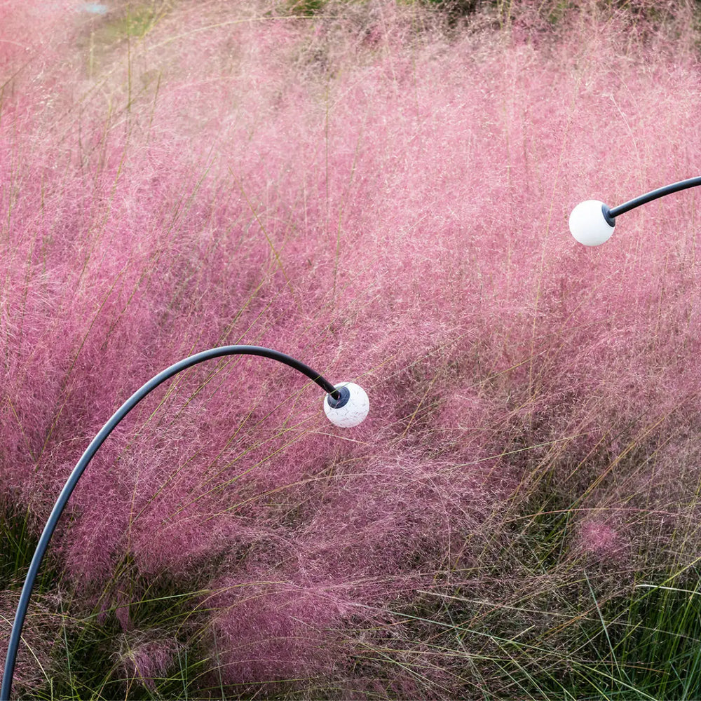 Piquet Cuca 1193 dans un jardin