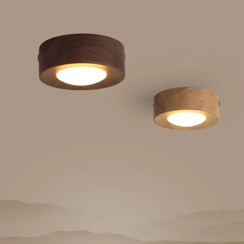 corridor lamp Walnut ceiling lights ash wood led lights for room living room Spotlights Porch light home decor lighting
