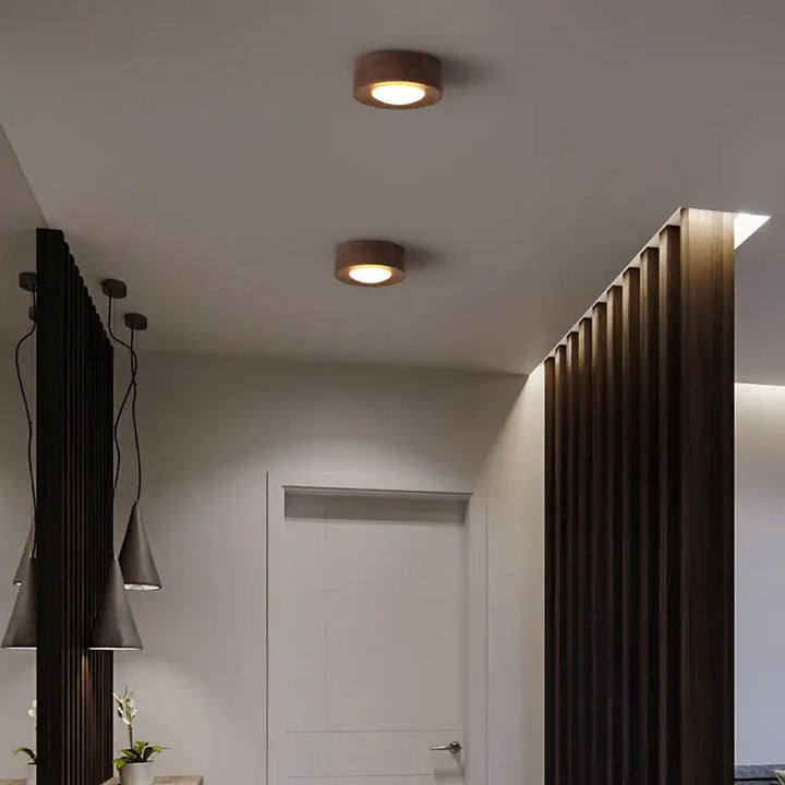 corridor lamp Walnut ceiling lights ash wood led lights for room living room Spotlights Porch light home decor lighting