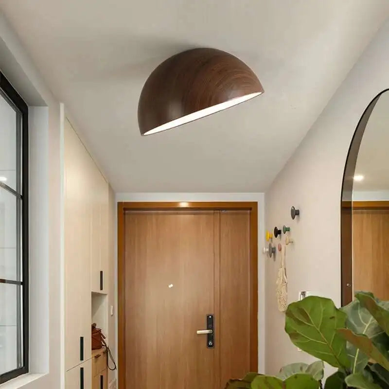 Ceiling Light | LONROI