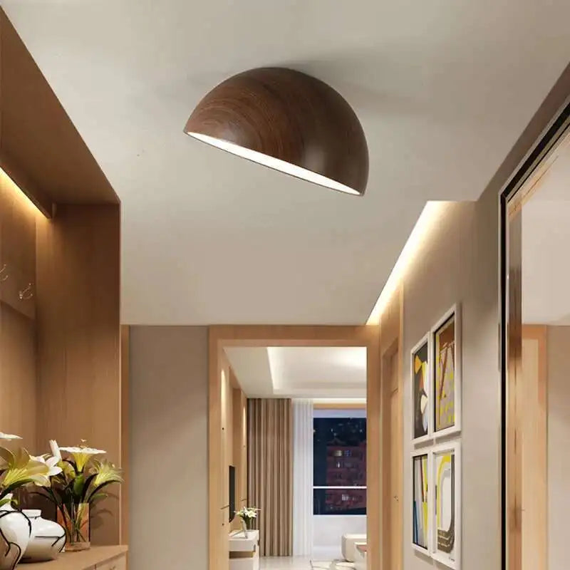 Ceiling Light | LONROI