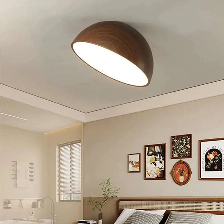 Ceiling Light | LONROI