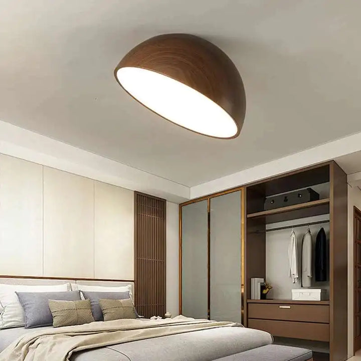 Ceiling Light | LONROI