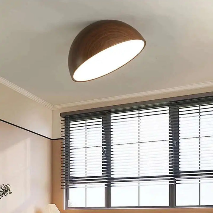 Ceiling Light | LONROI