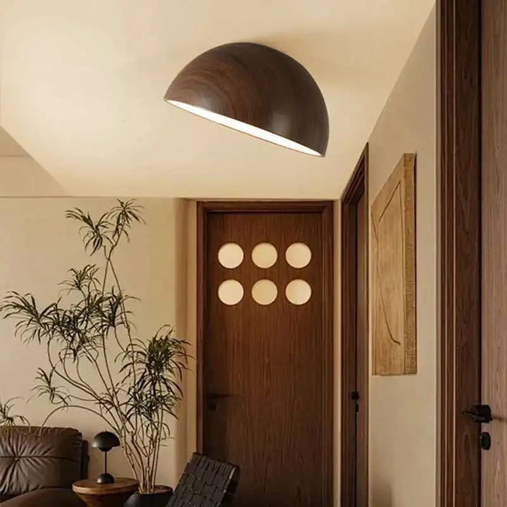 Ceiling Light | LONROI