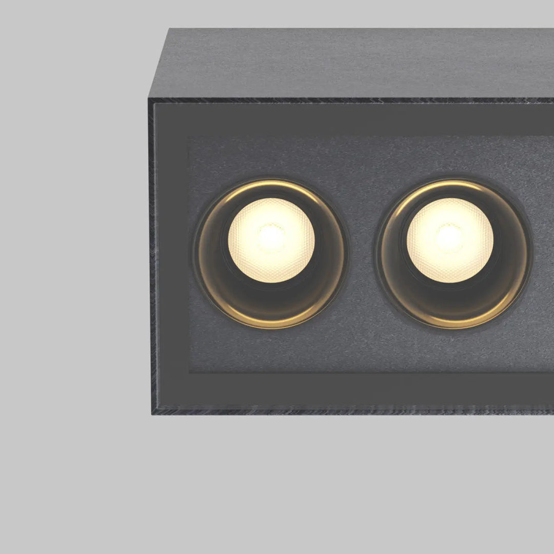 Plafonnier extérieur ares en métal graphite avec deux ampoules led dorées émettant une lumière chaude