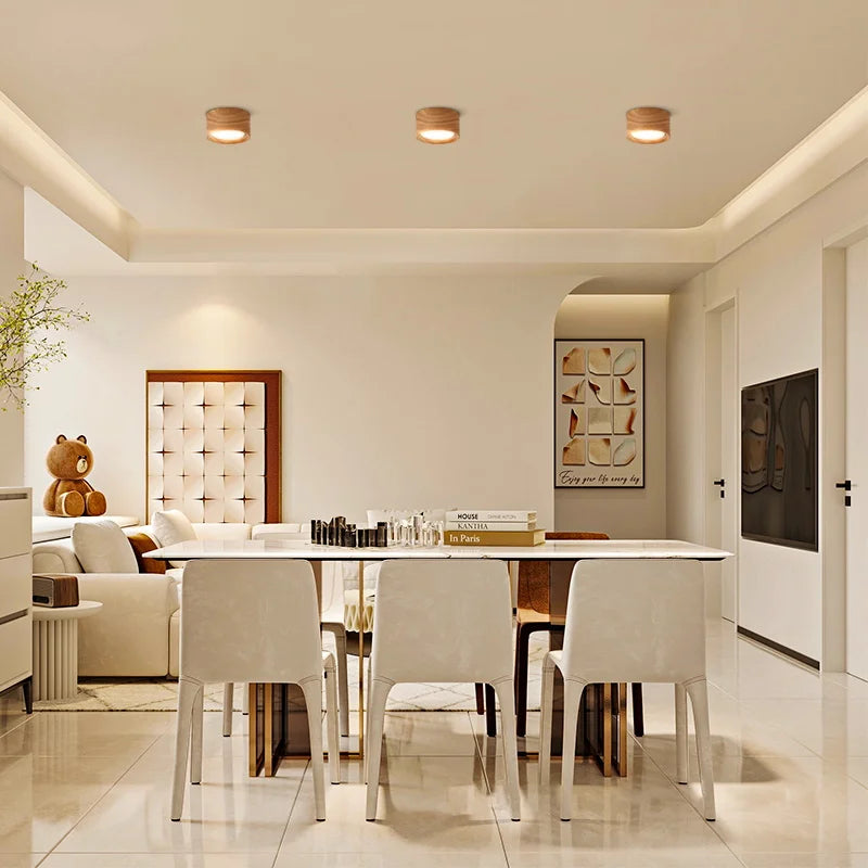 Ceiling Light | ROTABU