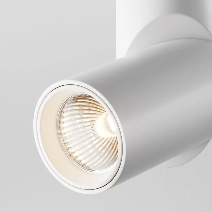 Spot dafne saillie led blanc cylindrique en aluminium avec lentille en verre dépoli et réflecteur interne visible